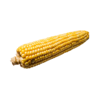 AI generated Yellow Corn Cob With Kernels, Without Shadow, Isolated Background png