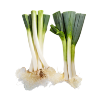 AI generated Green And White Leek With Roots, Isolated Transparent Background png