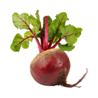 AI generated Red Beetroot With A Green Top, Without Shadow, Isolated Background png