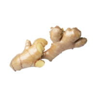 AI generated Floating Of White And Brown Ginger, Without Shadow, Isolated Transparent Background png