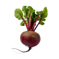 AI generated Red Beetroot With A Green Top, Without Shadow, Isolated Background png