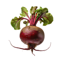 AI generated Red Beetroot With A Green Top, Without Shadow, Isolated Background png