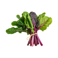 AI generated Bunches Of Green And Purple Swiss Chard With A Leafy Texture, Isolated Transparent Background png