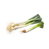 AI generated Green And White Leek With Roots, Isolated Transparent Background png