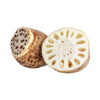 AI generated Floating Of White And Brown Lotus Root With Sliced, Isolated Transparent Background png