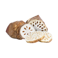 AI generated Floating Of White And Brown Lotus Root With Sliced, Isolated Transparent Background png