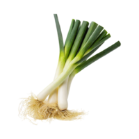 AI generated Green And White Leek With Roots, Isolated Transparent Background png