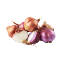 AI generated Brown And White Shallot With A Purple Skin, Without Shadow, Isolated Transparent Background png