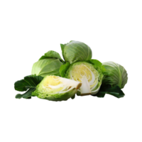 AI generated Bunch Of Cabbages Sliced, Without Shadow, Isolated Transparent Background png