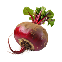 AI generated Red Beetroot With A Green Top, Without Shadow, Isolated Background png