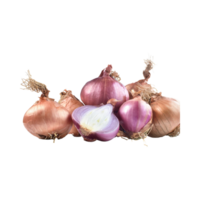 AI generated Brown And White Shallot With A Purple Skin, Without Shadow, Isolated Transparent Background png