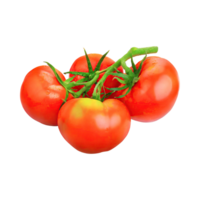 ai generiert schwebend von Tomaten mit ein Grün Stengel, ohne Schatten, isoliert transparent Hintergrund png