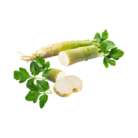 AI generated Floating Of Fresh Horseradish With A Pungent Smell With Sliced, Isolated Transparent Background png