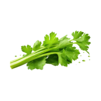 AI generated Bunch Of Fresh Green Leaf Of Celery With Water Drop, Isolated Background png