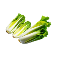 AI generated Floating Of Endive With A Crisp Texture With Sliced, Without Shadow, Isolated Transparent Background png