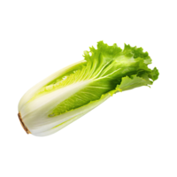 AI generated Floating Of Endive With A Crisp Texture With Sliced, Without Shadow, Isolated Transparent Background png