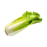 ai généré flottant de endive avec une croustillant texture avec découpé en tranches, sans pour autant ombre, isolé transparent Contexte png