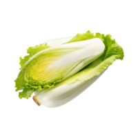 AI generated Floating Of Endive With A Crisp Texture With Sliced, Without Shadow, Isolated Transparent Background png