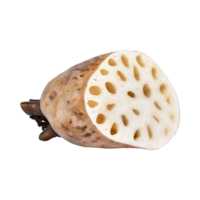 AI generated Floating Of White And Brown Lotus Root With Sliced, Isolated Transparent Background png