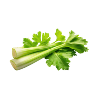 AI generated Fresh Green Leaf Stalks Of Celery, Without Shadow, solated Background png