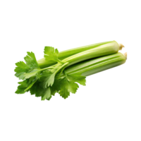 AI generated Fresh Green Leaf Stalks Of Celery, Without Shadow, solated Background png