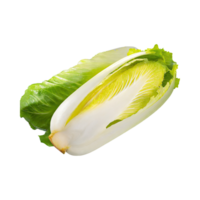 AI generated Floating Of Endive With A Crisp Texture With Sliced, Without Shadow, Isolated Transparent Background png