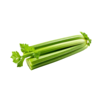 AI generated Fresh Green Leaf Stalks Of Celery, Without Shadow, solated Background png