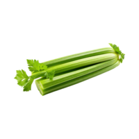 AI generated Fresh Green Leaf Stalks Of Celery, Without Shadow, solated Background png