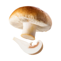 ai generiert schwebend Weiß Pilz mit ein braun Deckel, ohne Schatten, isoliert Hintergrund png