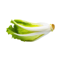 AI generated Floating Of Endive With A Crisp Texture With Sliced, Without Shadow, Isolated Transparent Background png