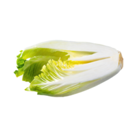 AI generated Floating Of Endive With A Crisp Texture With Sliced, Without Shadow, Isolated Transparent Background png
