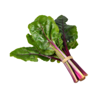 AI generated Bunch Of Green And Purple Swiss Chard With A Leafy Texture, Isolated Transparent Background png