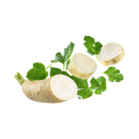 AI generated Floating Of Fresh Horseradish With A Pungent Smell With Sliced, Isolated Transparent Background png