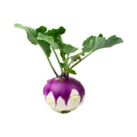 ai generiert schwebend von frisch lila Kohlrabi mit geschnitten, ohne Schatten, isoliert transparent Hintergrund png