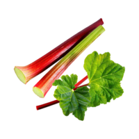 AI generated Floating Of Red And Green Rhubarb Without Shadow, Isolated Transparent Background png