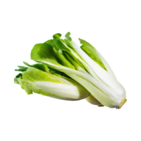 AI generated Floating Of Endive With A Crisp Texture With Sliced, Without Shadow, Isolated Transparent Background png