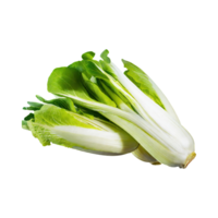 ai généré flottant de endive avec une croustillant texture avec découpé en tranches, sans pour autant ombre, isolé transparent Contexte png