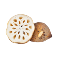 AI generated Floating Of White And Brown Lotus Root With Sliced, Isolated Transparent Background png