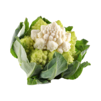 AI generated Green And White Cauliflower With A Flower-Like Shape, Isolated Transparent Background png