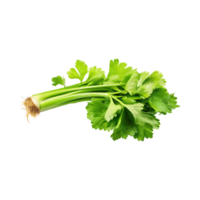 AI generated Bunch Of Fresh Green Leaf Of Celery With Water Drop, Isolated Background png
