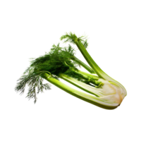 AI generated Bunch Of Sliced Of Fennel Blub, Without Shadow, Blank Isolated Background png