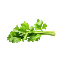 AI generated Bunch Of Fresh Green Leaf Of Celery With Water Drop, Isolated Background png