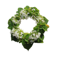 ai généré vert et blanc choufleur avec une en forme de fleur forme, isolé transparent Contexte png