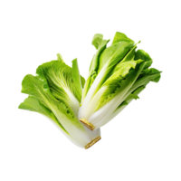 AI generated Floating Of Endive With A Crisp Texture With Sliced, Without Shadow, Isolated Transparent Background png