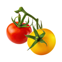 ai generiert schwebend von Tomaten mit ein Grün Stengel, isoliert transparent Hintergrund png