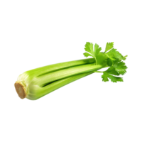 AI generated Fresh Green Leaf Stalks Of Celery, Without Shadow, solated Background png