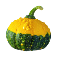 AI generated Floating Of Green And Yellow Gourd With A Bumpy Surface, Isolated Transparent Background png