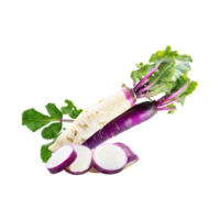 AI generated Floating Of Fresh White Blending To Purple Horseradish With A Pungent Smell With Sliced, Isolated Transparent Background png