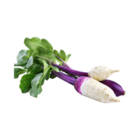 AI generated Small Of White And Purple Horseradish With A Pungent Smell, Isolated Transparent Background png
