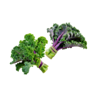 AI generated Floating Of Bunches Green Kale With Curly Edges, Isolated Transparent Background png